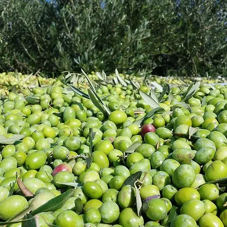 Alojamento de Turismo Rural Vultaggio Guarrato