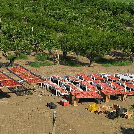 Vultaggio Farmház